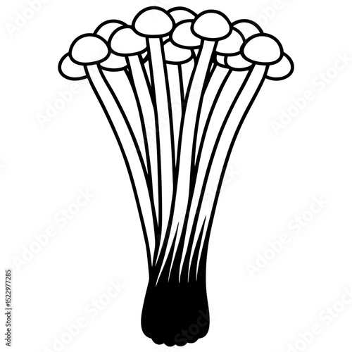 a vase of flowers isolated
