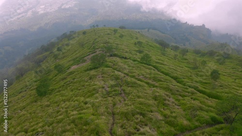 a beautiful savanna on the sindoro mountain