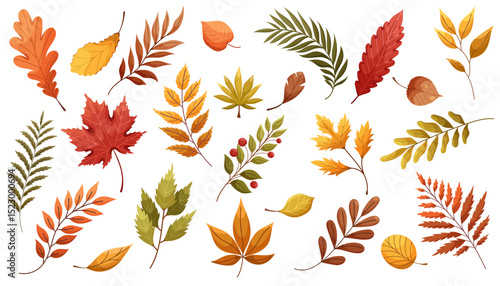 Set of autumn leaves from different trees, oak, maple, chestnut. Fall foliage. Colorful fall leaf collection for pattern, banner, sticker. Hello autumn. Flat vector illustration on white background.
