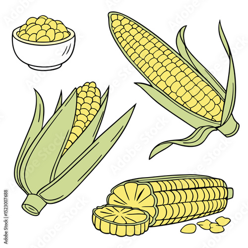 Collection set of sweetcorn In different perspectives