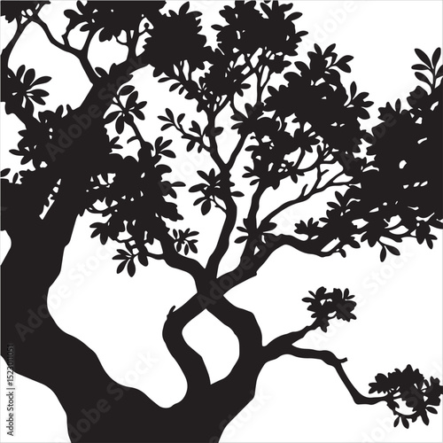 Isekai anime inspired vector artwork showcasing a black and white manzanita silhouette.  The style is elegant and timeless, featuring a highly expressive composition against a white background