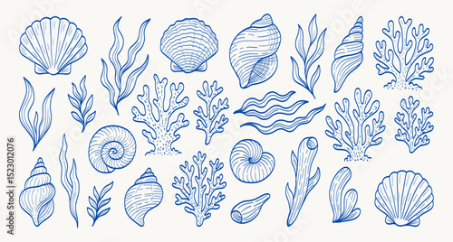 A blue and white drawing of various sea creatures including shells, seaweed, and coral. The drawing has a calming and serene mood, with the blue and white colors creating a sense of tranquility