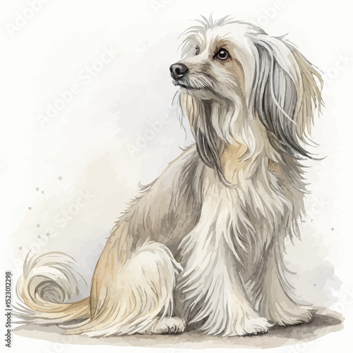 Chinese Crested Powderpuff with a gentle expression looking up against a light watercolor background.