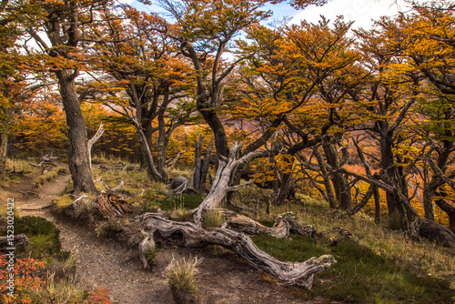 Just another day of hiking in Patagonia in the fall -12

