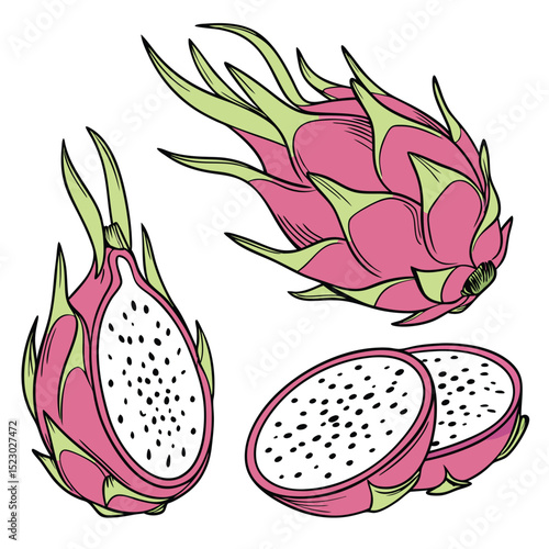 Collection set of Dragon fruit (Pitaya) In different perspectives
