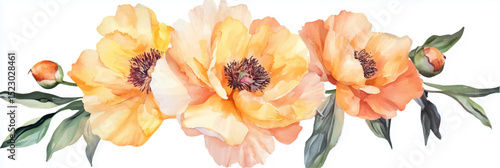 Vector illustration of watercolor peony flowers. Floral illustration on white background.