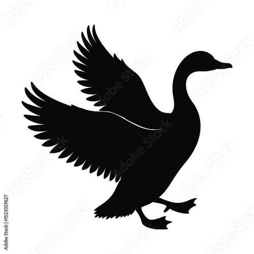 silhouette of rearing duck black on white background