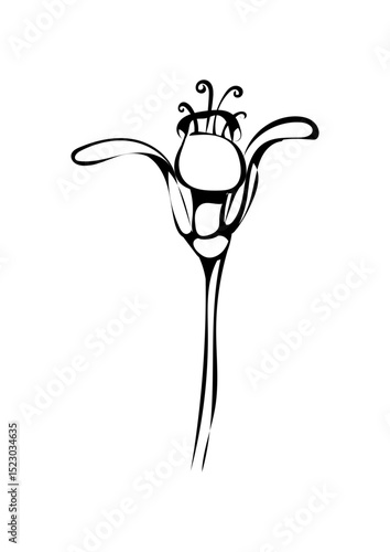 Blume