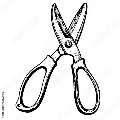 Kitchen shears with sharp blades and comfortable handles.  These versatile kitchen scissors are perfect for herbs, poultry, and more.  High-quality image of kitchen shears ideal for culinary websites,