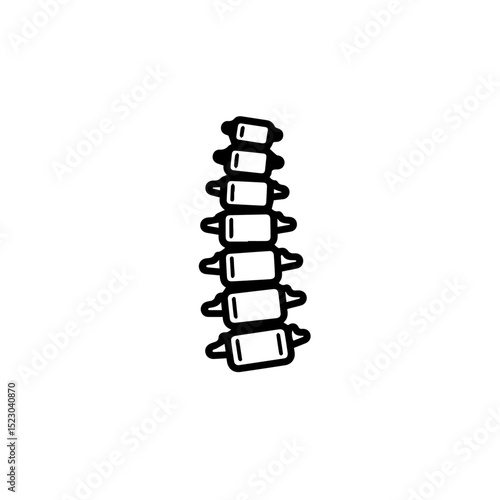 Spinal column illustration. Detailed human spine anatomy drawing. Medical diagram showing vertebrae.  Perfect illustration for medical publications, educational materials,