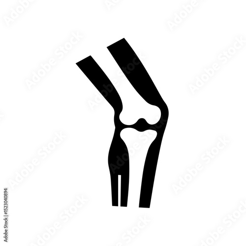 Human knee joint anatomy illustration. Detailed depiction of leg bones structure, showing tibia, fibula, and patella. This medical illustration is perfect for educational materials,