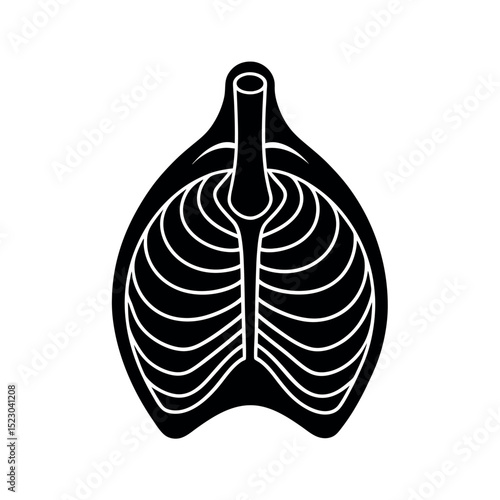 diaphragm