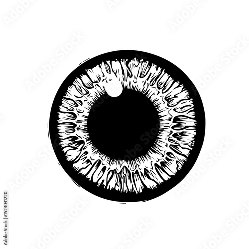 Detailed human eye iris illustration.  Precise drawing of eye anatomy shows pupil and intricate details of iris texture.  High-resolution image ideal for ophthalmology publications, medical textbooks,