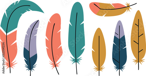 Colorful feather set vector illustration in various shapes and sizes 