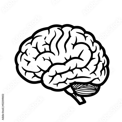 Detailed human brain drawing.  Brain illustration shows cerebral cortex, cerebellum, and brainstem.  Simple black and white brain image ideal for medical publications, educational materials,