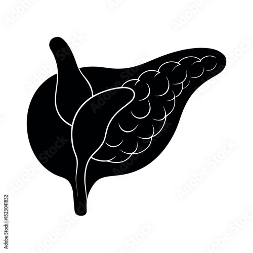gallbladder 