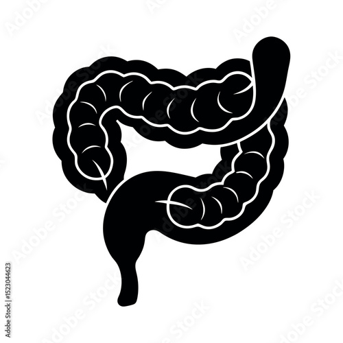 anatomy of the human appendix vector 