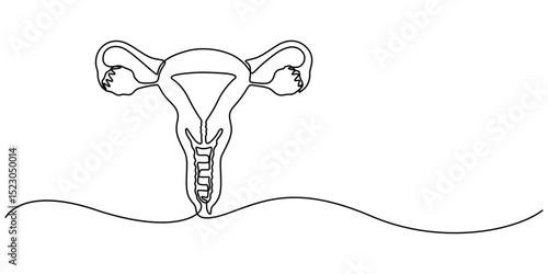 Human reproductive system one line continuous drawing. Human organ continuous one line illustration. Vector minimalist linear illustration, One continuous line drawing of woman uterus. Ovary and womb.