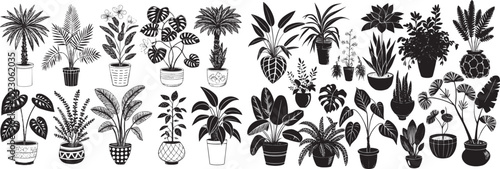 Black & White Silhouettes: Potted Plants & Houseplant Collection