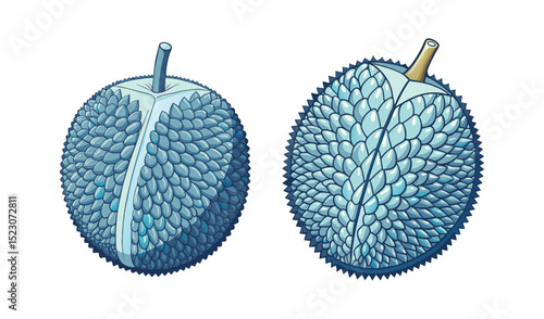 Photo of two stylized illustrations of a blue durian fruit, isolated on white background, one whole and one opened, showcasing its spiky exterior and creamy interior