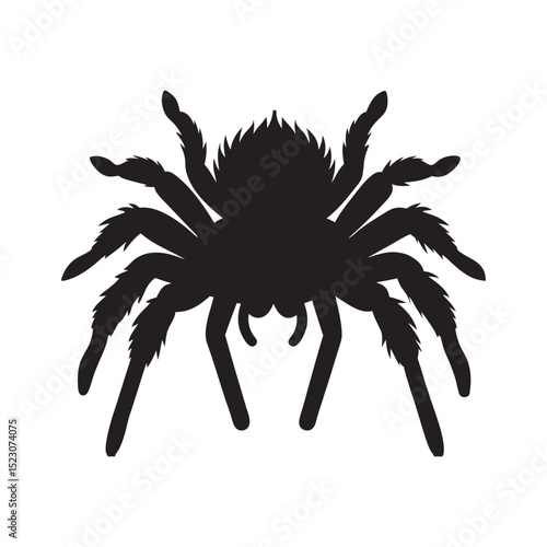 Silhouette Of Tarantula Crawling Over Tree Bark