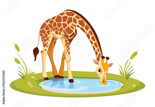 Giraffe Quenching Thirst From Wide Pond