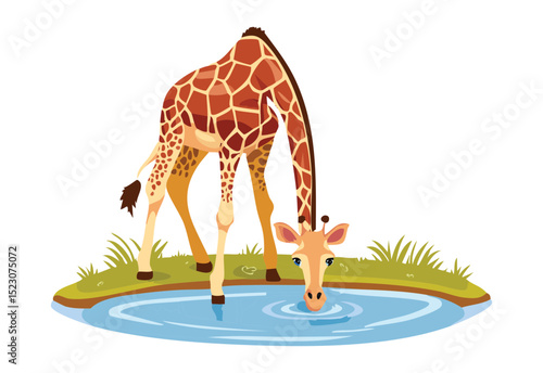 Giraffe Drinking From Clear Water Pond