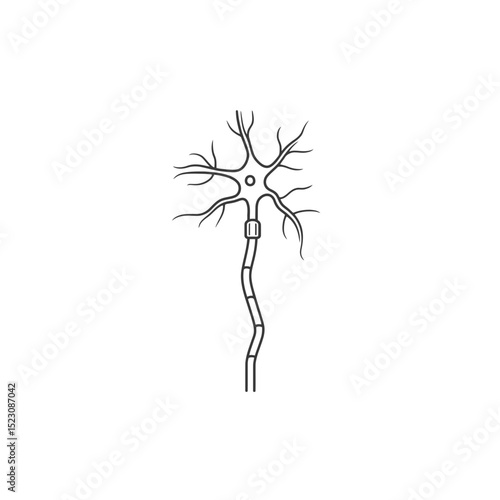 Neuron drawing conducts impulses in biological system simple design