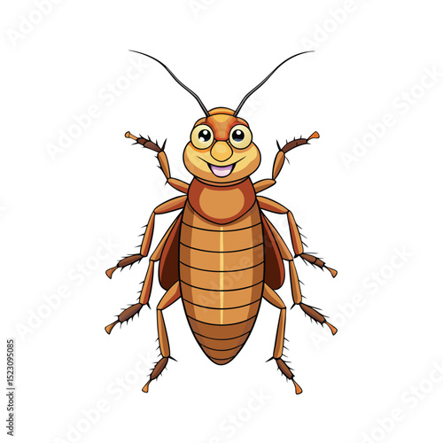 cockroach on white background
