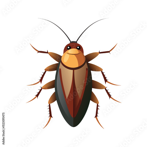 cockroach on white background
