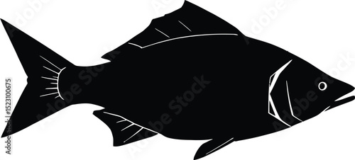 Silhouette of a Freshwater Fish with Detailed Fins and Gills