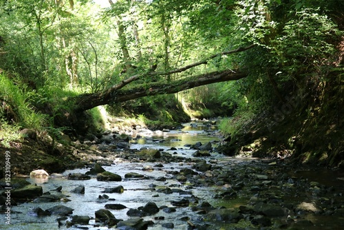 Vallée du Moulin de la Mer