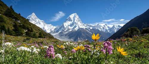 Colorful Alpine Meadow With Snowy Peaks