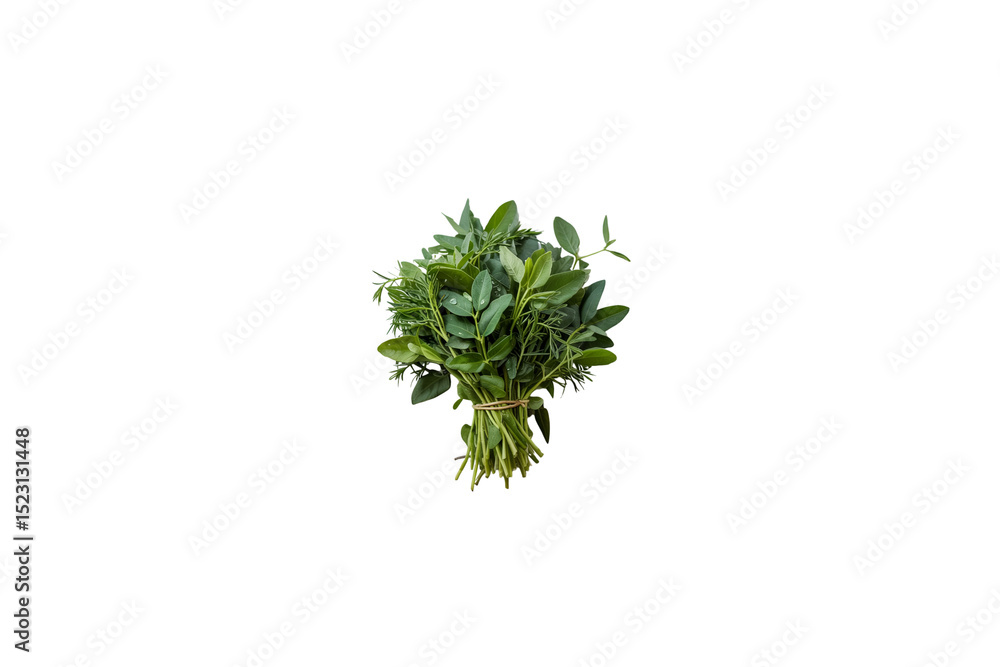 Fototapeta premium Fresh Methi Leaves Bunch Isolated on White