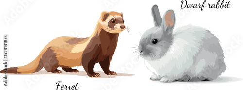  pet dwarf rabbit and ferret editable vector illustration set