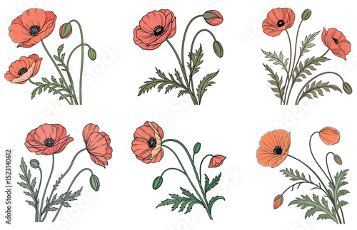 Poppies Vector Clipart Elegant Flat Poppy Flower Illustrations for Botanical, Garden, and Floral Designs