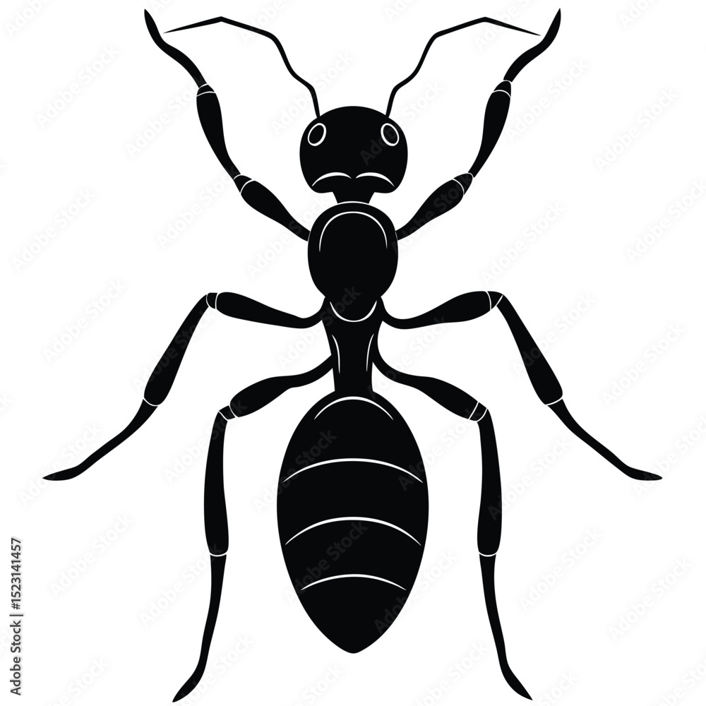 Ant Insect Illustration Ant Insect Illustration