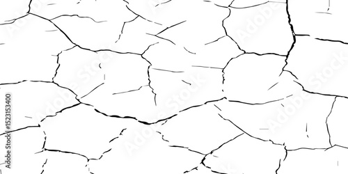 A close-up, high-contrast black and white photograph showcasing a network of intricate cracks, resembling a dried-up surface, shattered glass, or a distressed texture. The lines are sharp and angular.