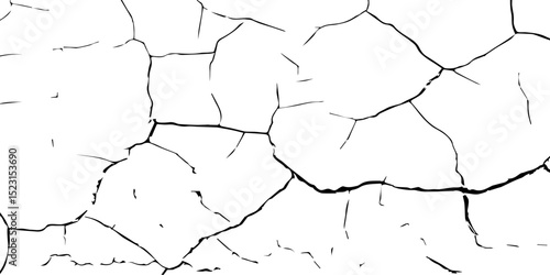 A close-up, high-contrast black and white photograph showcasing a network of intricate cracks, resembling a dried-up surface, shattered glass, or a distressed texture. The lines are sharp and angular.
