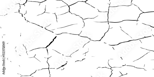 Generate a high-contrast, detailed image of a finely cracked white surface. The cracks should appear as thin, dark lines forming an intricate network across the white background, 