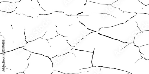 Create a high-contrast black and white image of a network of fine cracks on a white surface. The cracks should appear as thin, irregular black lines branching and intersecting across the frame, 