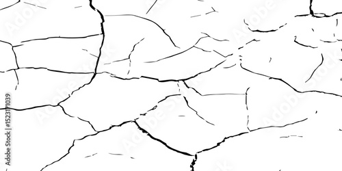 A stark, high-contrast, black and white texture image depicting a pattern of cracks, resembling distressed paint,shattered glass,or parched earth.The background is pure white,and the cracks are sharp.