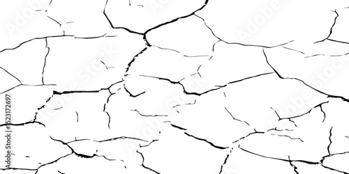 Generate a high-contrast, detailed image of a finely cracked white surface. The cracks should appear as thin, dark lines forming an intricate network across the white background, 