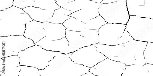 Generate a high-contrast, detailed image of a finely cracked white surface. The cracks should appear as thin, dark lines forming an intricate network across the white background, 