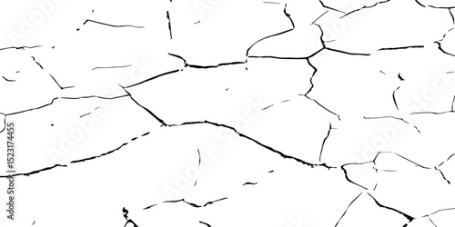 Generate a high-contrast, detailed image of a finely cracked white surface. The cracks should appear as thin, dark lines forming an intricate network across the white background, 