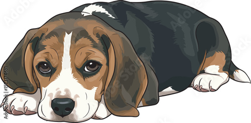 Beagle Dog Vector white color background 