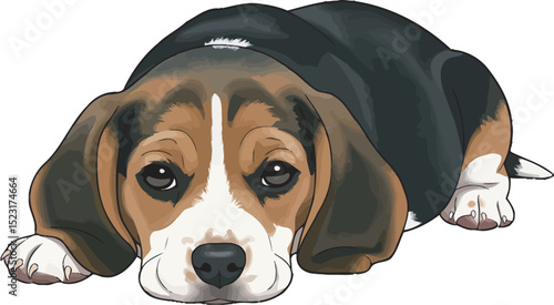 Beagle Dog Vector white color background 