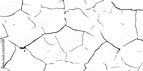 Generate a high-contrast, detailed image of a finely cracked white surface. The cracks should appear as thin, dark lines forming an intricate network across the white background, 