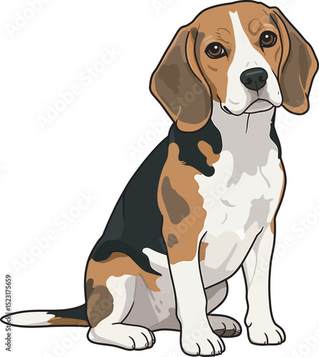 Beagle Dog Vector white color background 