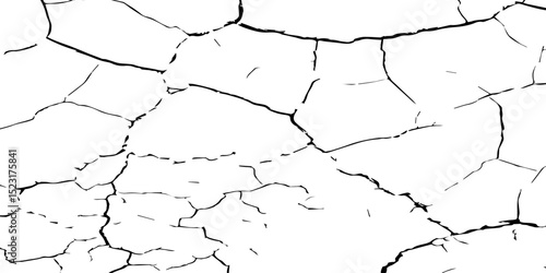 Generate a high-contrast, detailed image of a finely cracked white surface. The cracks should appear as thin, dark lines forming an intricate network across the white background, 